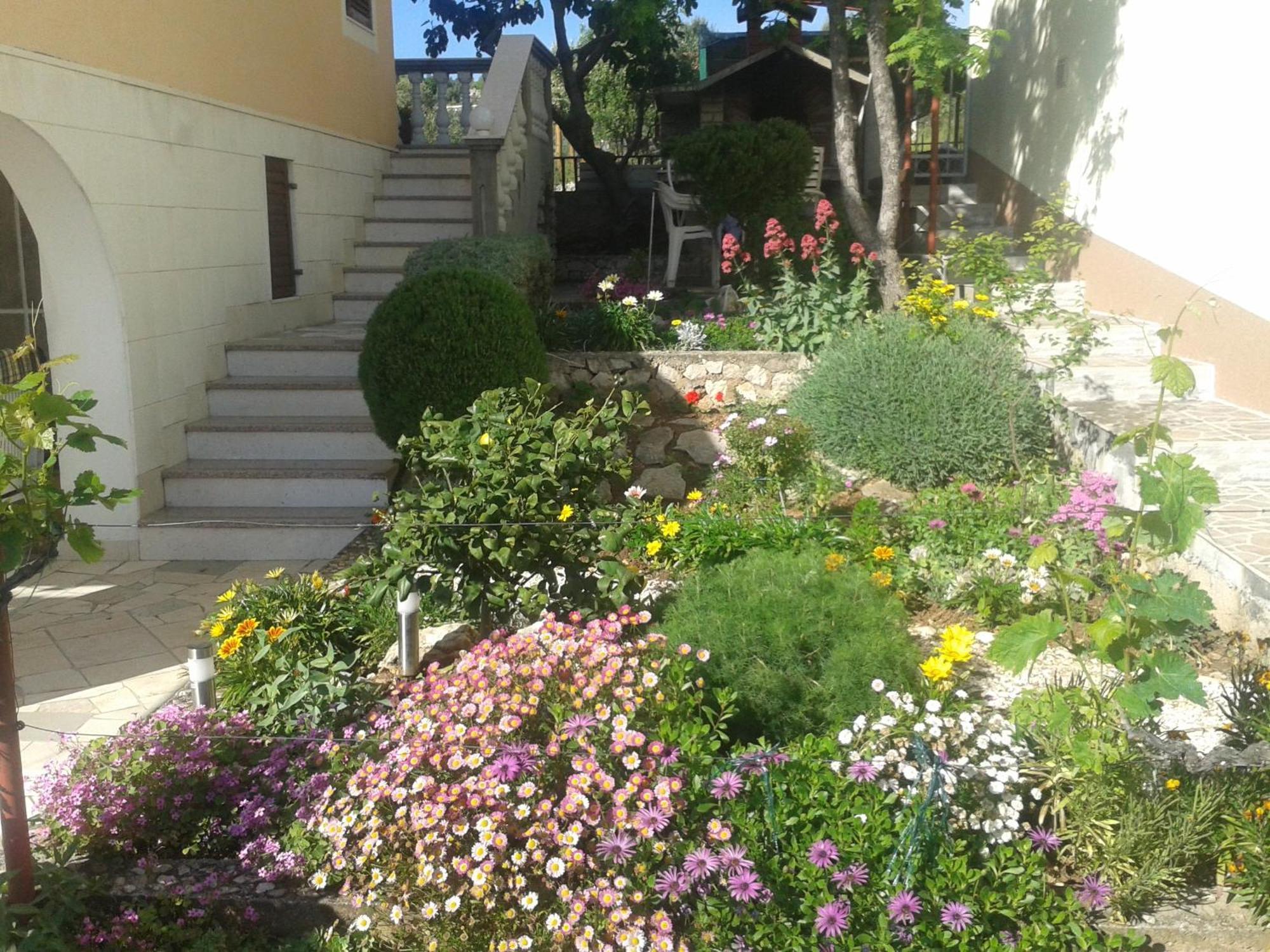 Apartments Zdenka Rogoznica  Dış mekan fotoğraf