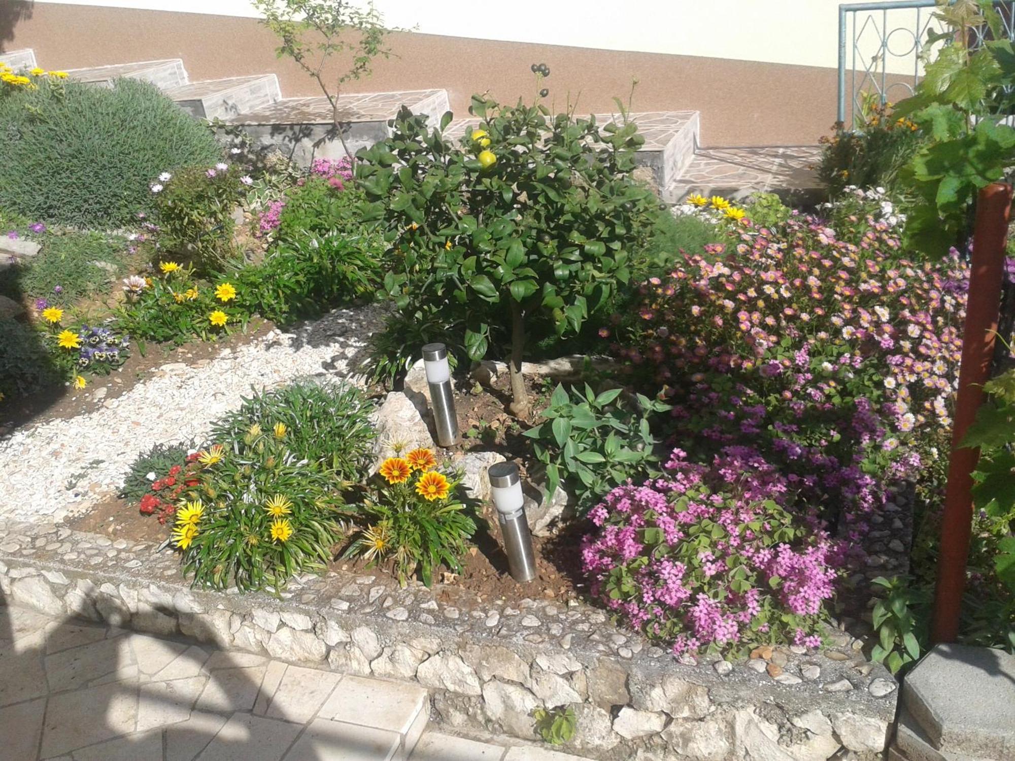 Apartments Zdenka Rogoznica  Dış mekan fotoğraf